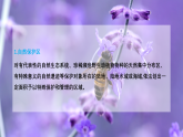 3.2 自然保护区与生态安全（课件）-2020-2021学年高二地理同步备课系列（新教材湘教版选择性必修3）