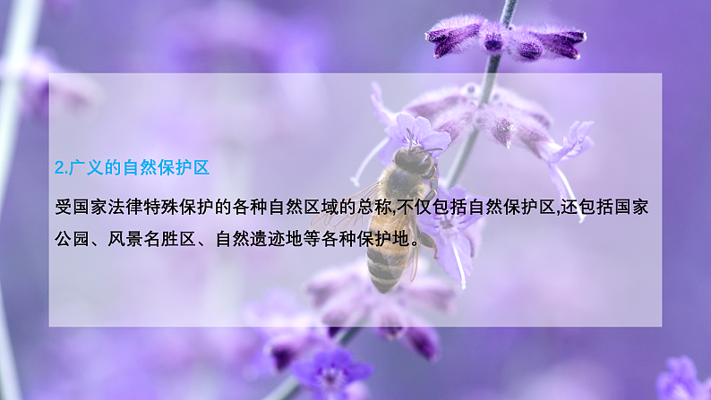 3.2 自然保护区与生态安全（课件）-2020-2021学年高二地理同步备课系列（新教材湘教版选择性必修3）06