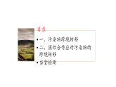 3.3 污染物跨境转移与环境安全（课件）-2020-2021学年高二地理同步备课系列（新教材湘教版选择性必修3）