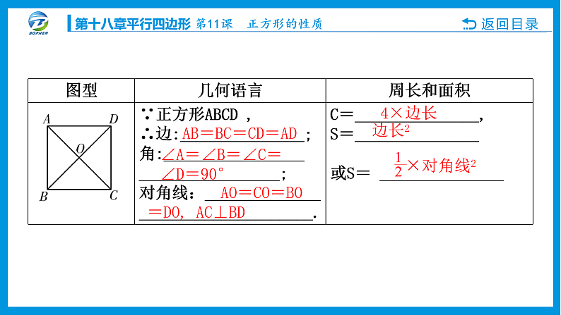 11  第11课 正方形的性质第3页