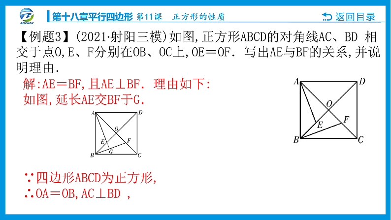 11  第11课 正方形的性质第8页