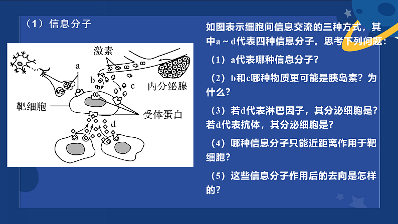 2022届高考生物二轮复习课件：专题6个体稳态与调节04
