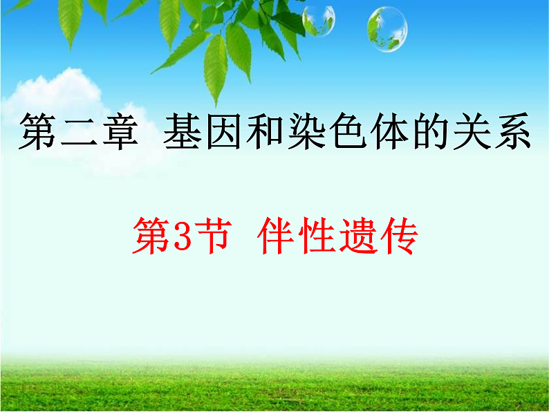 2.3伴性遗传课件2021-2022学年高一下学期生物人教版必修2第1页