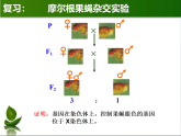 2.3伴性遗传课件2021-2022学年高一下学期生物人教版必修2