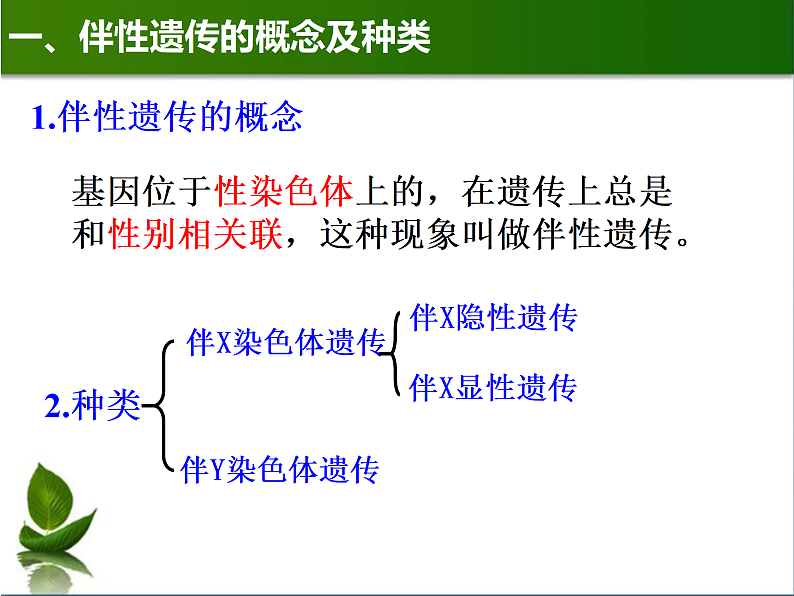 2.3伴性遗传课件2021-2022学年高一下学期生物人教版必修2第3页