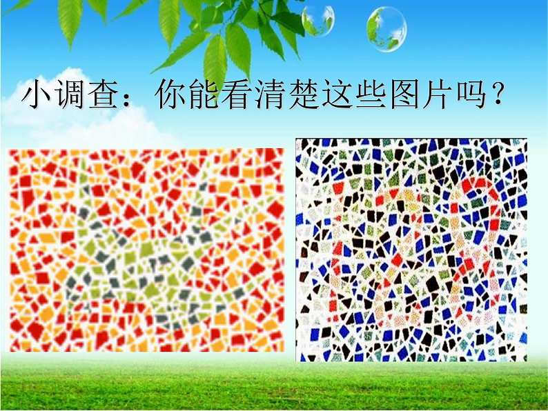 2.3伴性遗传课件2021-2022学年高一下学期生物人教版必修2第5页