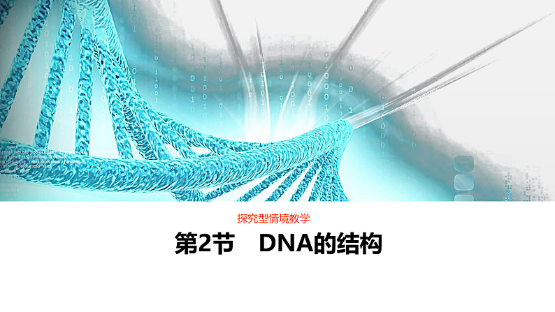 3.2DNA的结构课件2021-2022学年高一下学期生物人教版必修2第1页