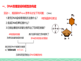 3.2DNA的结构课件2021-2022学年高一下学期生物人教版必修2