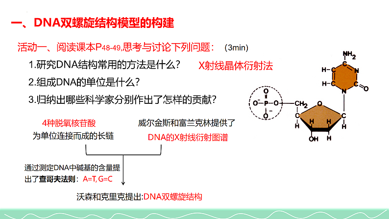 3.2DNA的结构课件2021-2022学年高一下学期生物人教版必修2第3页
