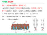 3.2DNA的结构课件2021-2022学年高一下学期生物人教版必修2
