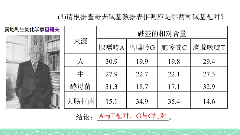 3.2DNA的结构课件2021-2022学年高一下学期生物人教版必修2第7页