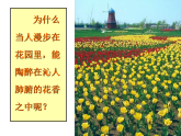 初中化学 北京2011课标版 九年级上册 第三节 分子 省优课件