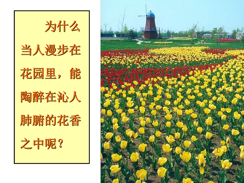 初中化学 北京2011课标版 九年级上册 第三节 分子 省优课件01