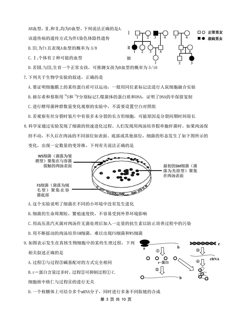 2022龙泉中学、宜昌一中、荆州中学等四校高三下学期模拟联考（一）生物含答案 试卷03