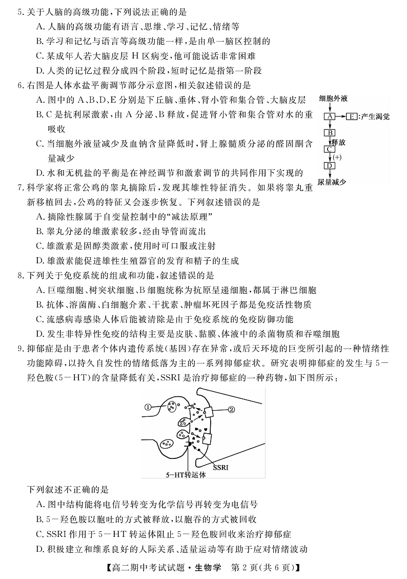 2021-2022学年湖南省三湘名校、五市十校教研教改共同体高二上学期期中考试（11月） 生物 PDF版 (1)练习题02