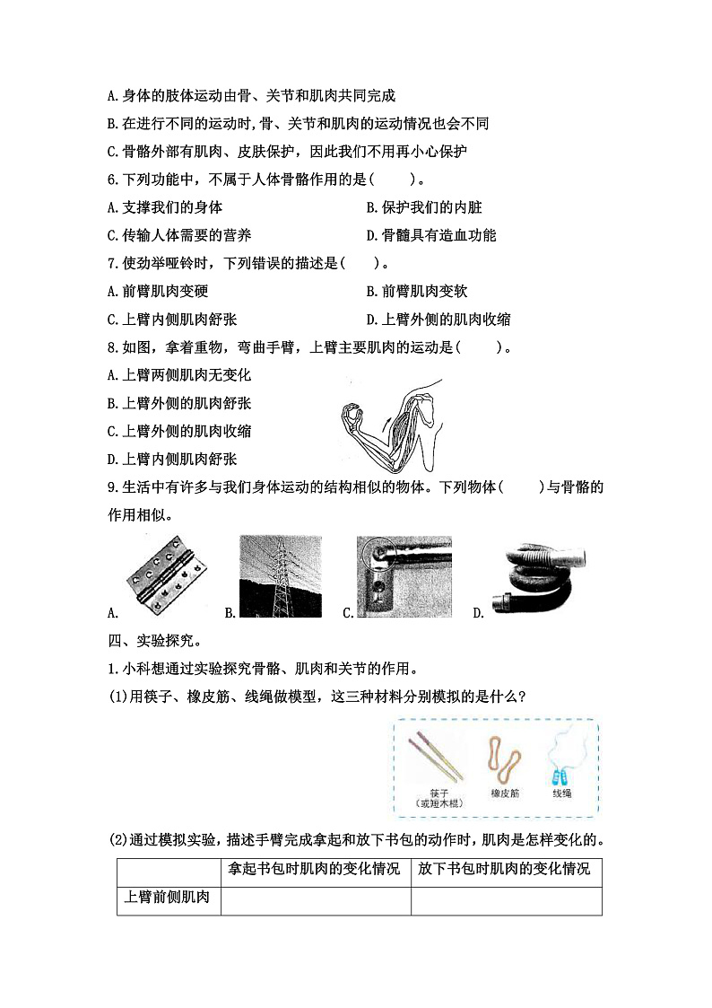 小学五年级科学上册 第四单元 第2课《身体的运动》课件+练习 （科教版2017）02