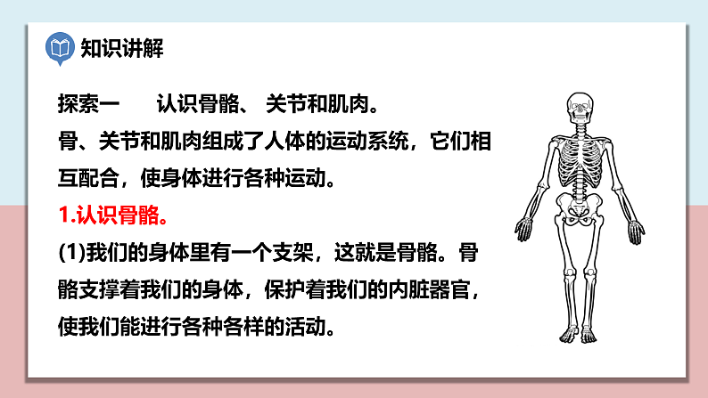 小学五年级科学上册 第四单元 第2课《身体的运动》课件+练习 （科教版2017）03