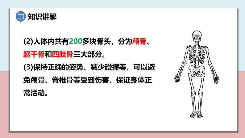 小学五年级科学上册 第四单元 第2课《身体的运动》课件+练习 （科教版2017）04