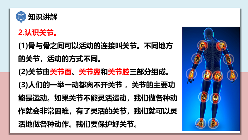 小学五年级科学上册 第四单元 第2课《身体的运动》课件+练习 （科教版2017）05