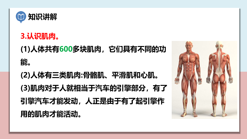 小学五年级科学上册 第四单元 第2课《身体的运动》课件+练习 （科教版2017）06