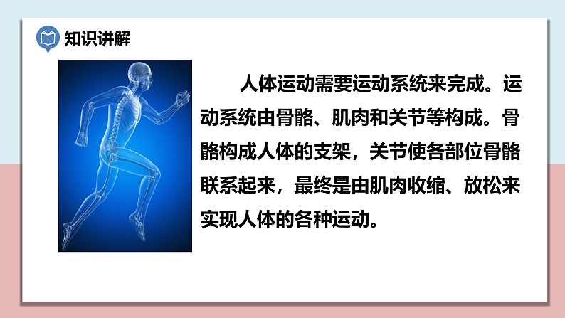 小学五年级科学上册 第四单元 第2课《身体的运动》课件+练习 （科教版2017）07