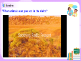 Module6 Unit2 The tiger lives in Asia 课件 PPT+教案