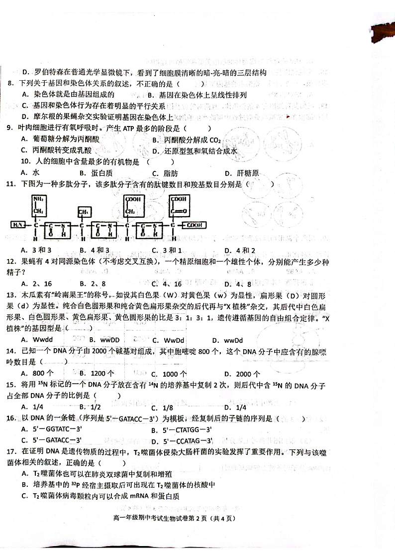 高一生物第2页