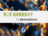 人教版 2019 高中生物必修1 第二章 2.1《細(xì)胞中的元素和化合物》課件 PPT+教案