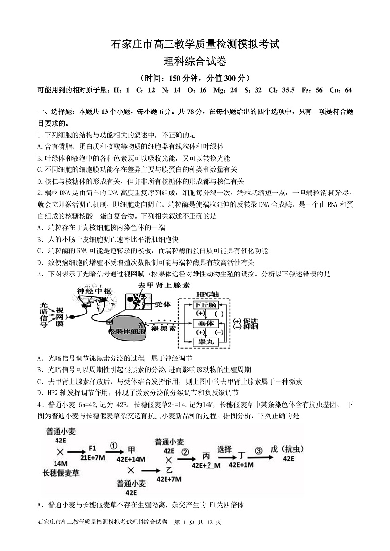 理综试题第1页