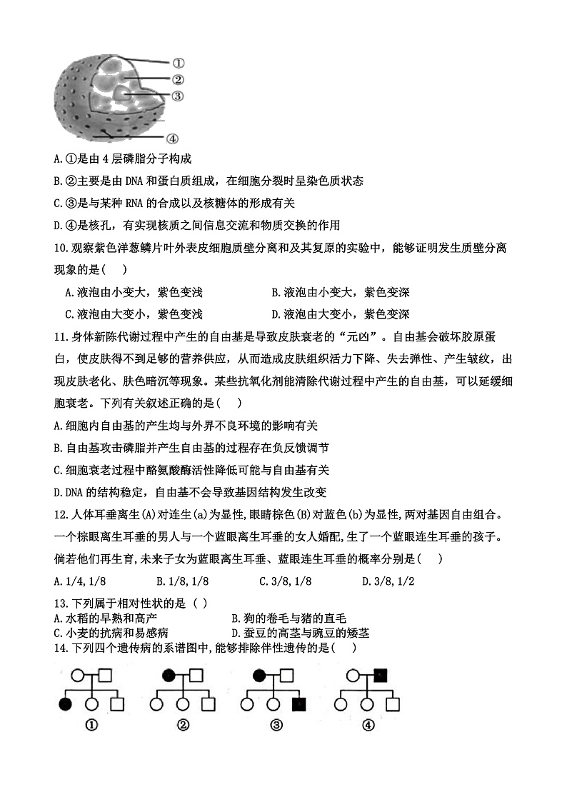 高三生物试卷第3页