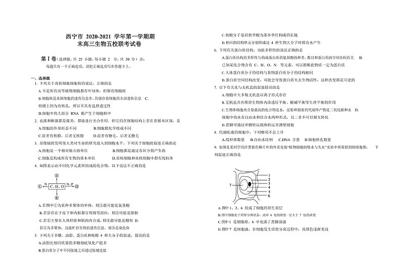 2021西宁普通高中五校高三上学期期末联考生物试题含答案01