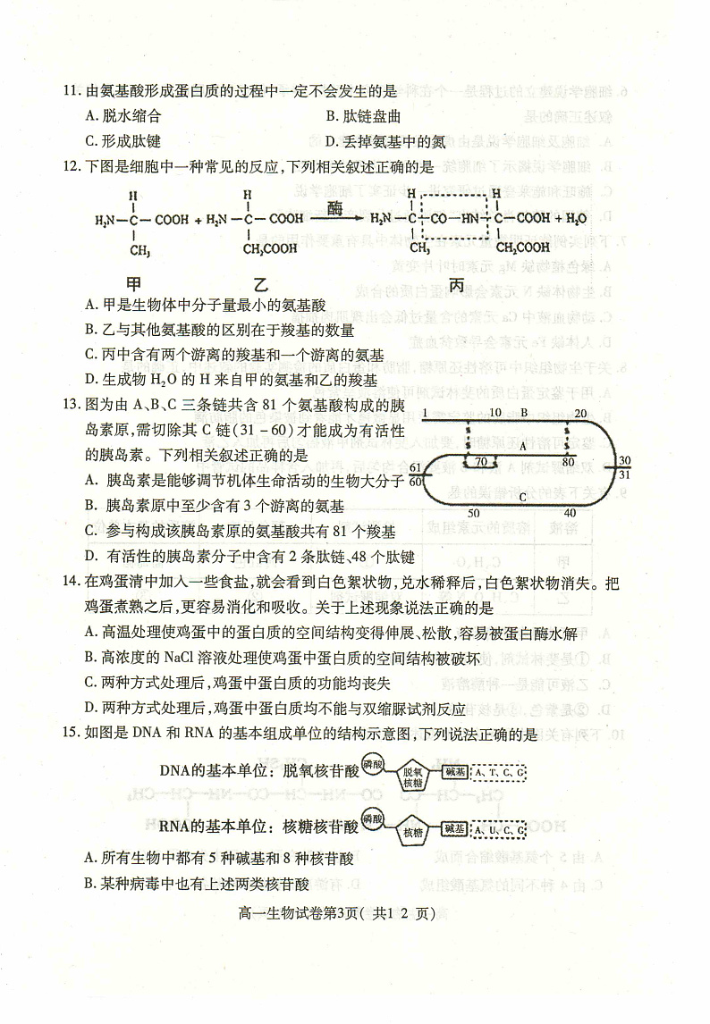 河北省定州市2019-2020学年高一上学期期中考试生物试题 PDF版含答案第3页
