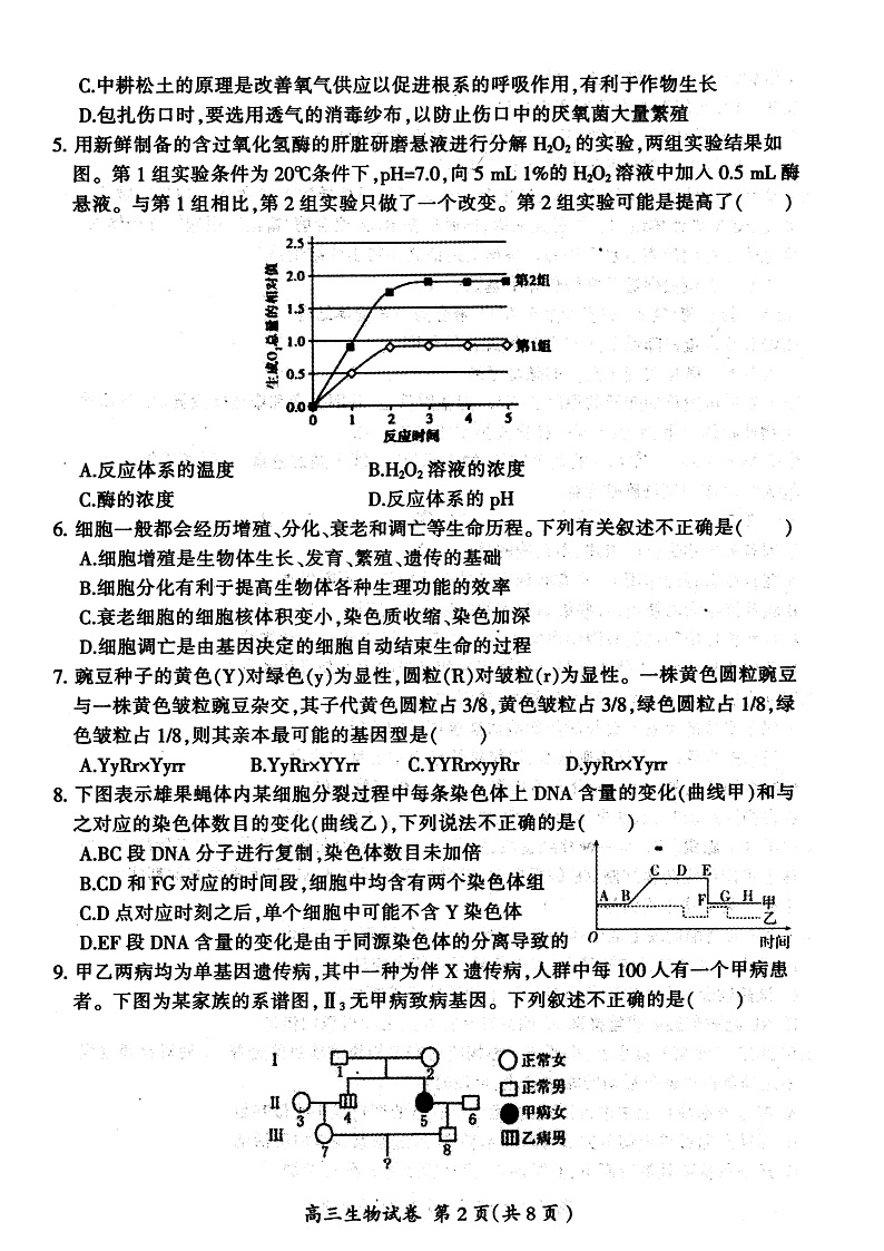 2023大同高三上学期第一次学情调研测试生物试题含答案02