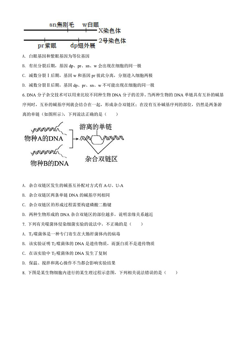 山东省临沂市平邑第一中学新校区2021-2022学年高一6月月考生物试题第2页