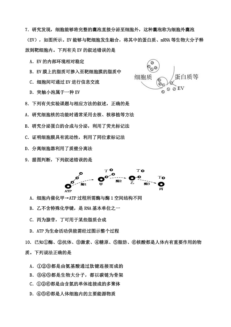 天津市第三中学2021-2022学年高二下学期期末质量检测生物试题word版第2页