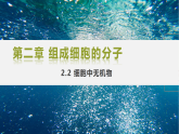 人教版 2019 高中生物必修1 第二章 2.2《細胞中的無機物》課件 PPT+教案
