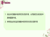 人教版 2019 高中生物必修1 第二章 2.2《細胞中的無機物》課件 PPT+教案