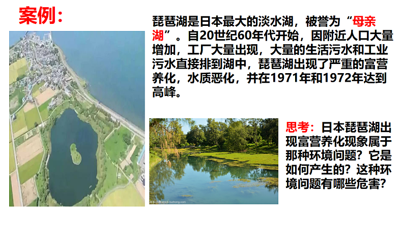 1.3 环境问题及其危害 课件+练习04