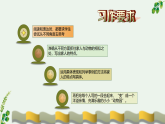 【同步课件】第二单元习作：小小动物园（课件）四年级语文上册