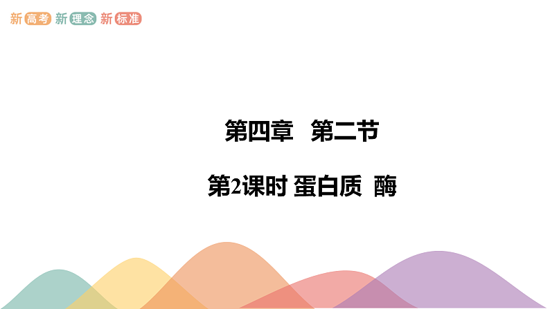 高中化学选择性必修三 4.2.2 蛋白质 酶课件下学期共13张01