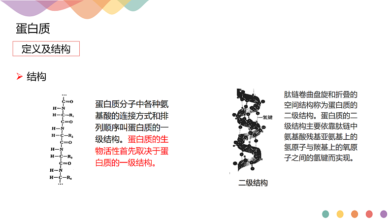 高中化学选择性必修三 4.2.2 蛋白质 酶课件下学期共13张05