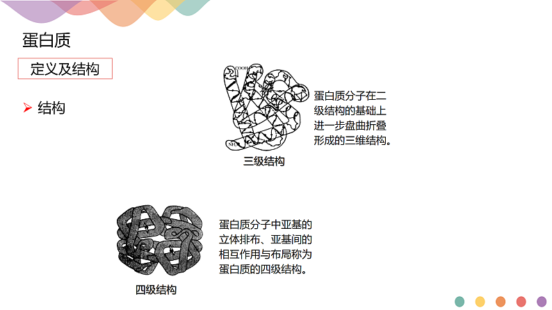 高中化学选择性必修三 4.2.2 蛋白质 酶课件下学期共13张06