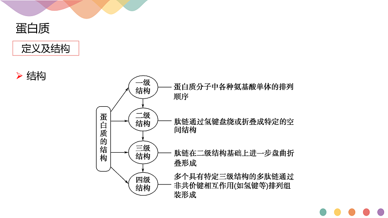 高中化学选择性必修三 4.2.2 蛋白质 酶课件下学期共13张07