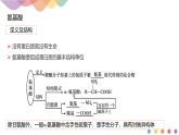 高中化学选择性必修三 4.2.1 氨基酸课件下学期(共13张)