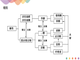 高中化学选择性必修三 第四章章末总结课件下学期共19张