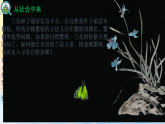 2.1.1植物细胞工程的基本技术高二生物（人教版2019选择性必修3） 课件+学案