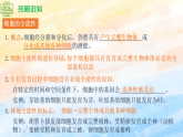 2.1.1植物细胞工程的基本技术高二生物（人教版2019选择性必修3） 课件+学案