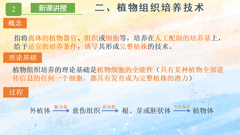 2.1.1植物细胞工程的基本技术高二生物（人教版2019选择性必修3） 课件+学案07