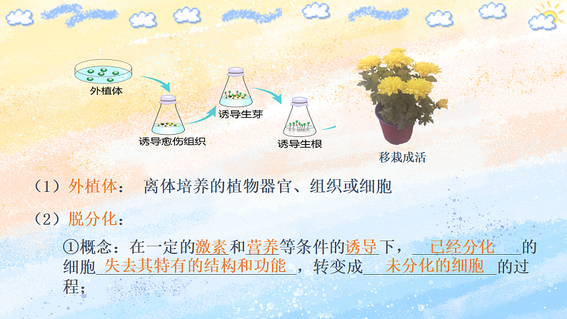 2.1.1植物细胞工程的基本技术高二生物（人教版2019选择性必修3） 课件+学案08