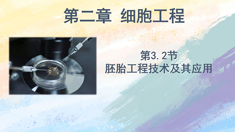 2.3.2 胚胎工程技术及其应用 高二生物（人教版2019选择性必修3） 课件+学案01